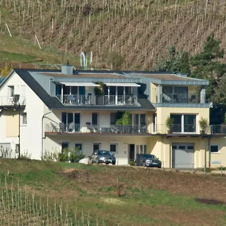 Ferienhaus Panorama Mosel Reil Buitenkant foto