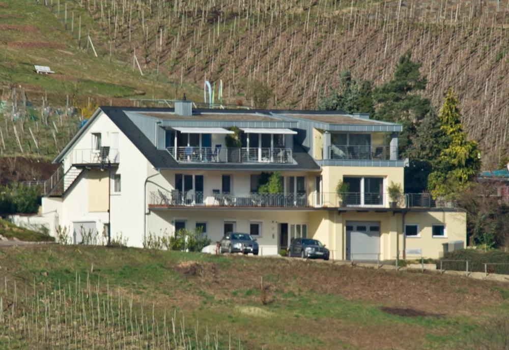 Panorama Mosel Reil